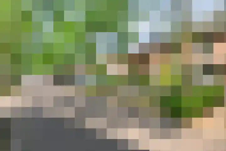 Diederikstraat 32 Gemert thumbnail 8