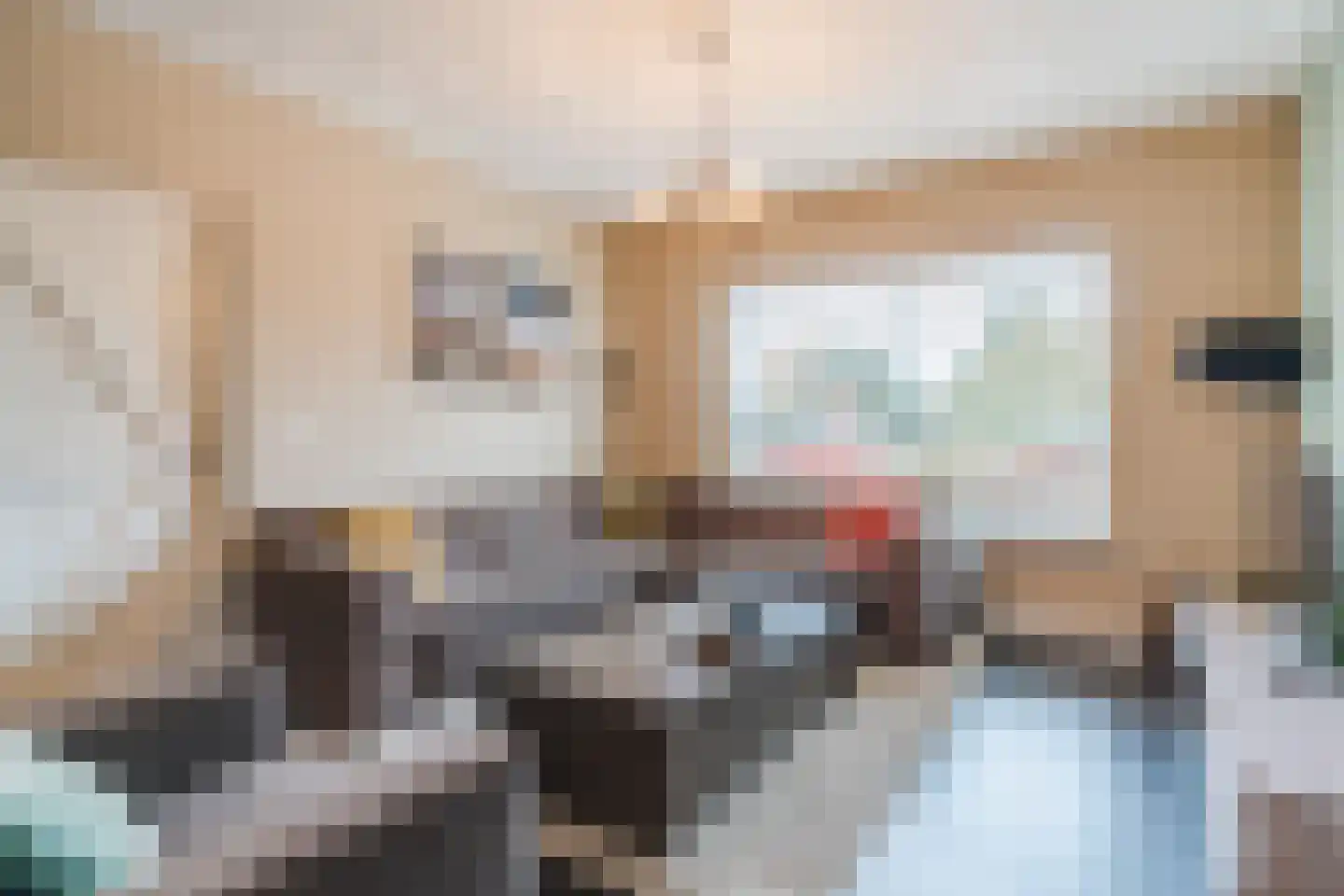Diederikstraat 58 Gemert thumbnail 11
