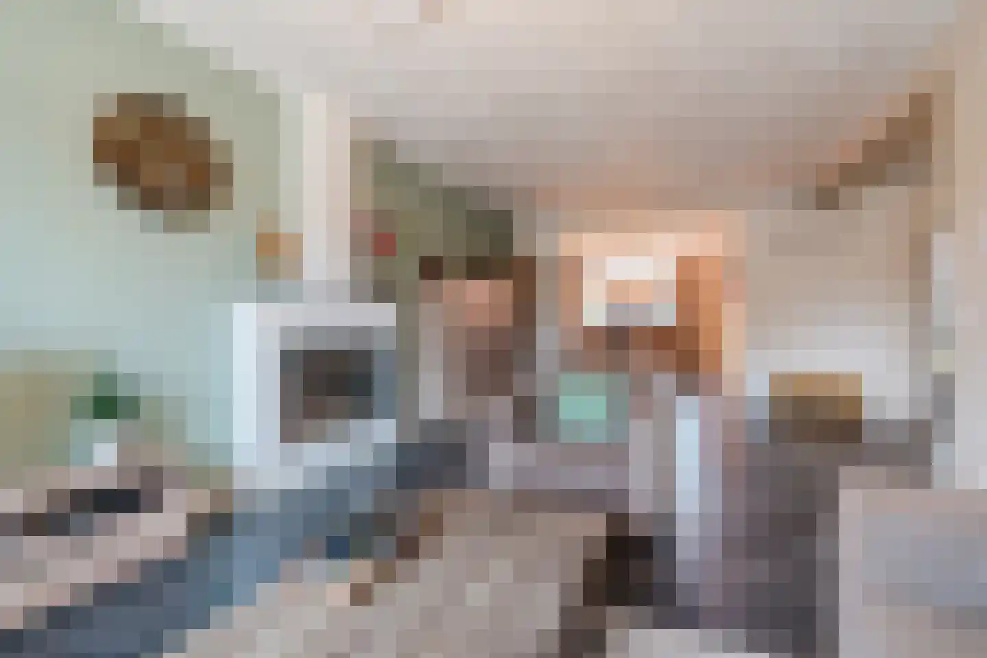 Diederikstraat 58 Gemert thumbnail 12