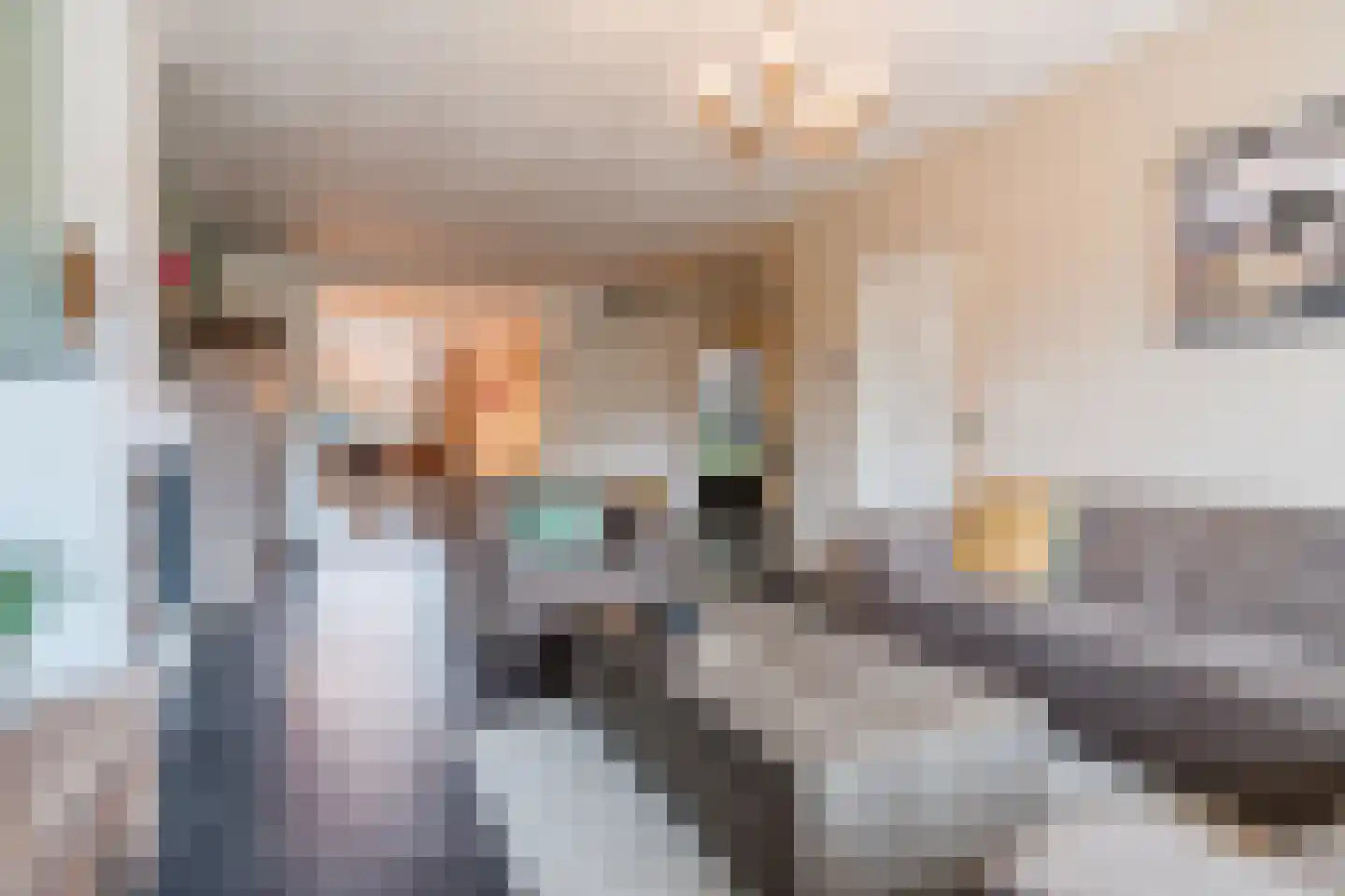 Diederikstraat 58 Gemert thumbnail 13