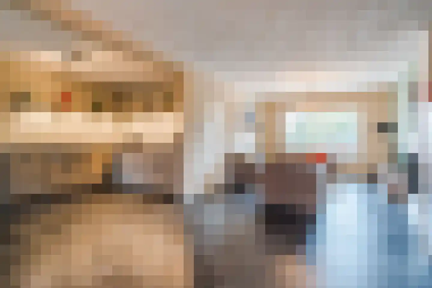 Diederikstraat 58 Gemert thumbnail 14