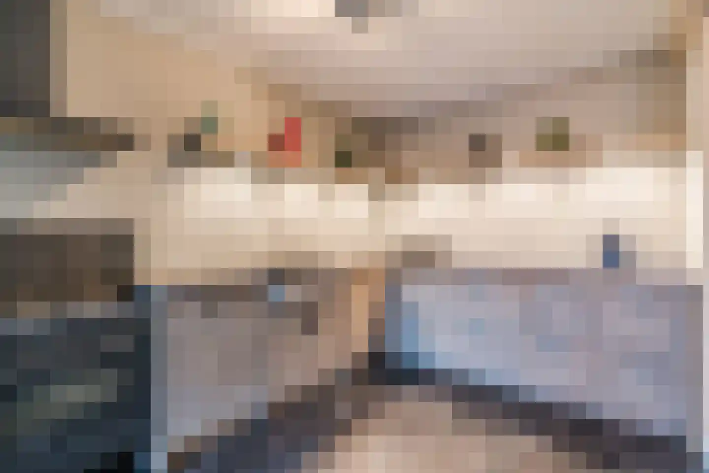 Diederikstraat 58 Gemert thumbnail 16