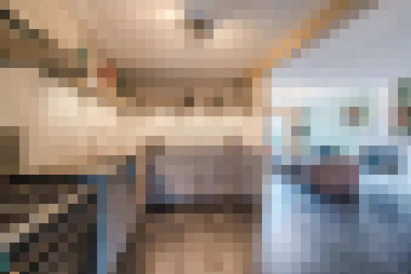 Diederikstraat 58 Gemert thumbnail 17