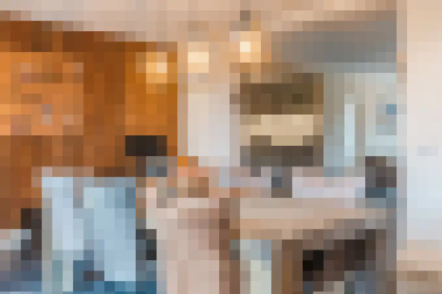 Diederikstraat 58 Gemert thumbnail 20