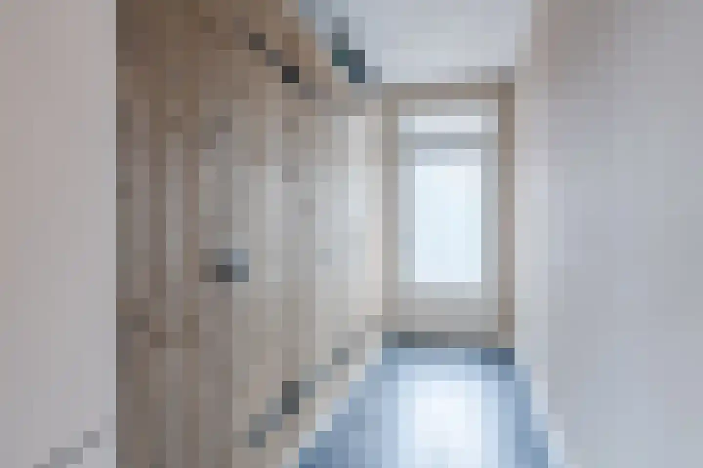 Diederikstraat 58 Gemert thumbnail 21