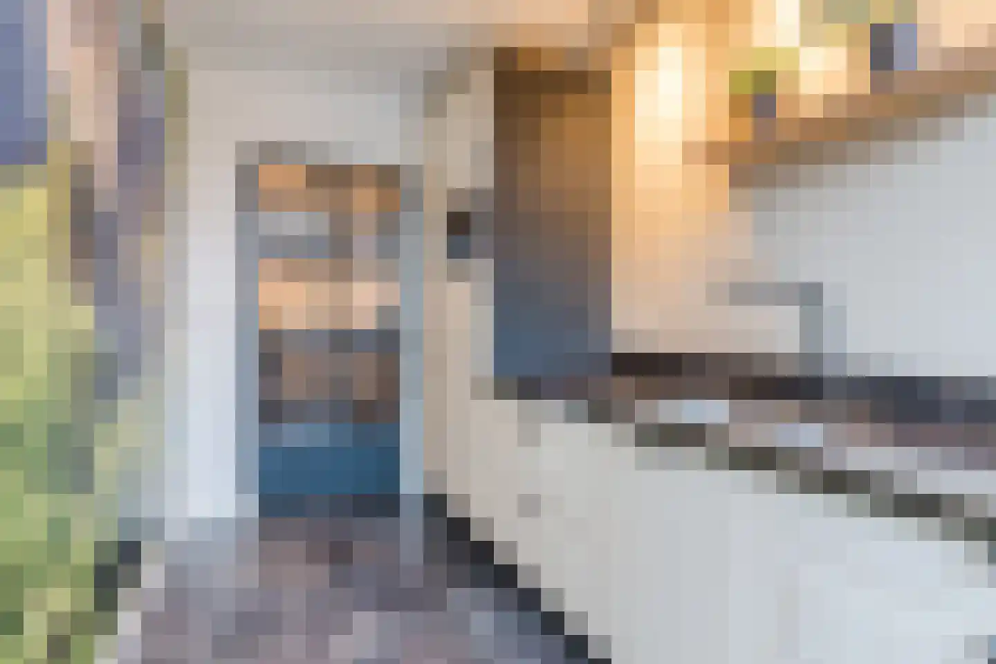 Diederikstraat 58 Gemert thumbnail 22