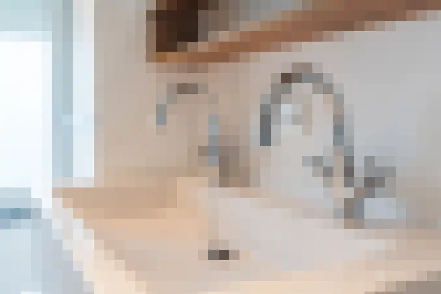 Diederikstraat 58 Gemert thumbnail 33