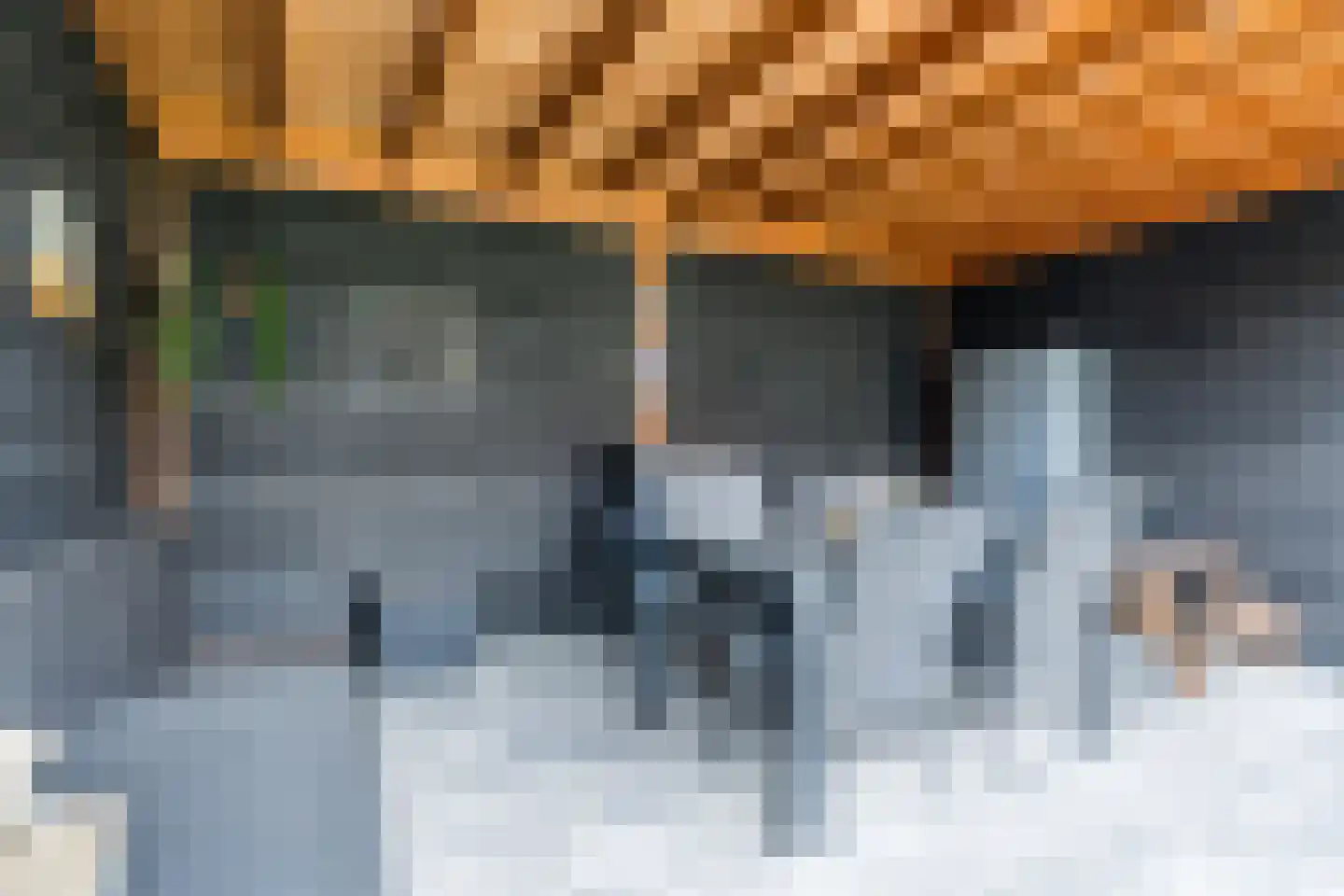 Diederikstraat 58 Gemert thumbnail 39