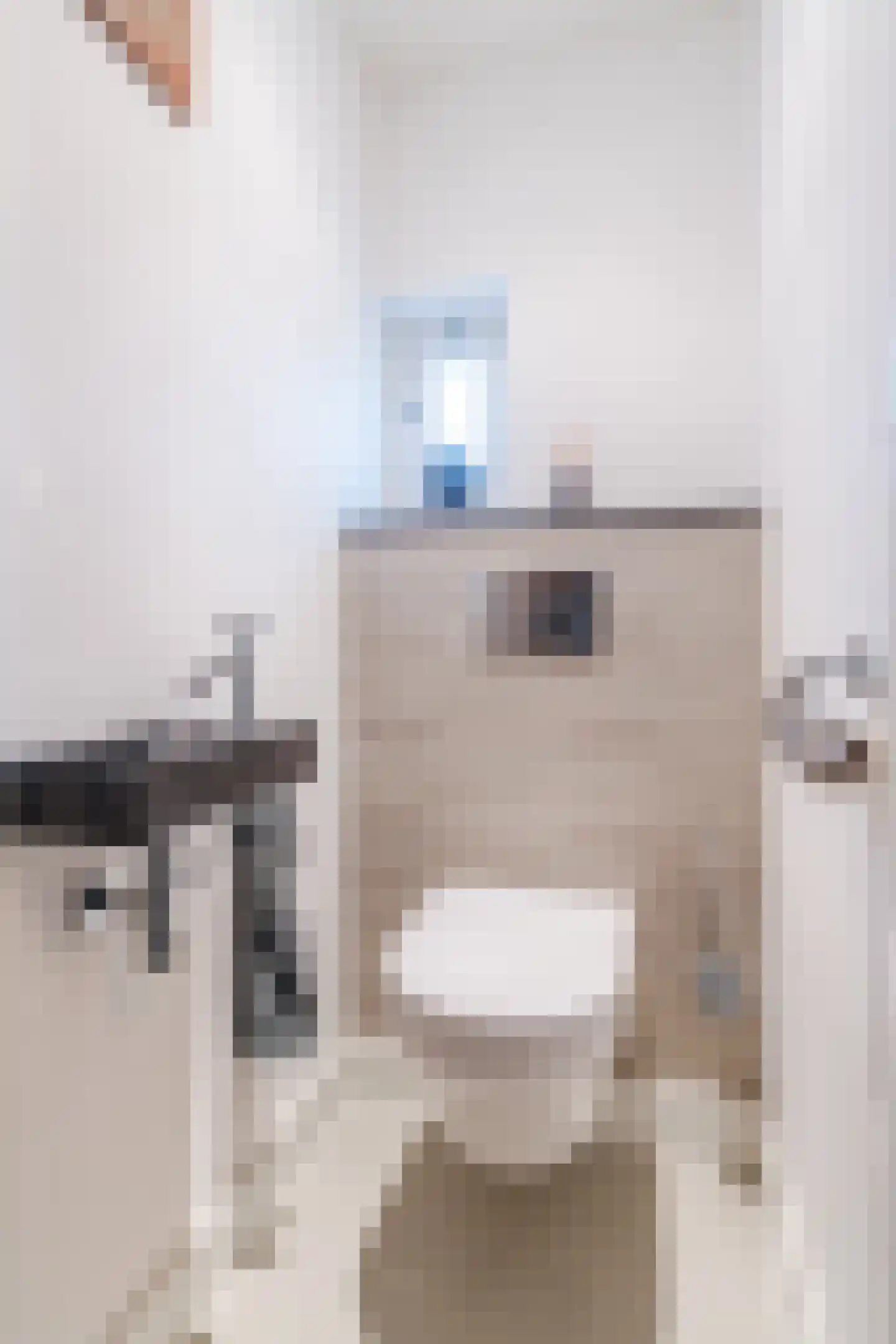 Diederikstraat 58 Gemert thumbnail 7