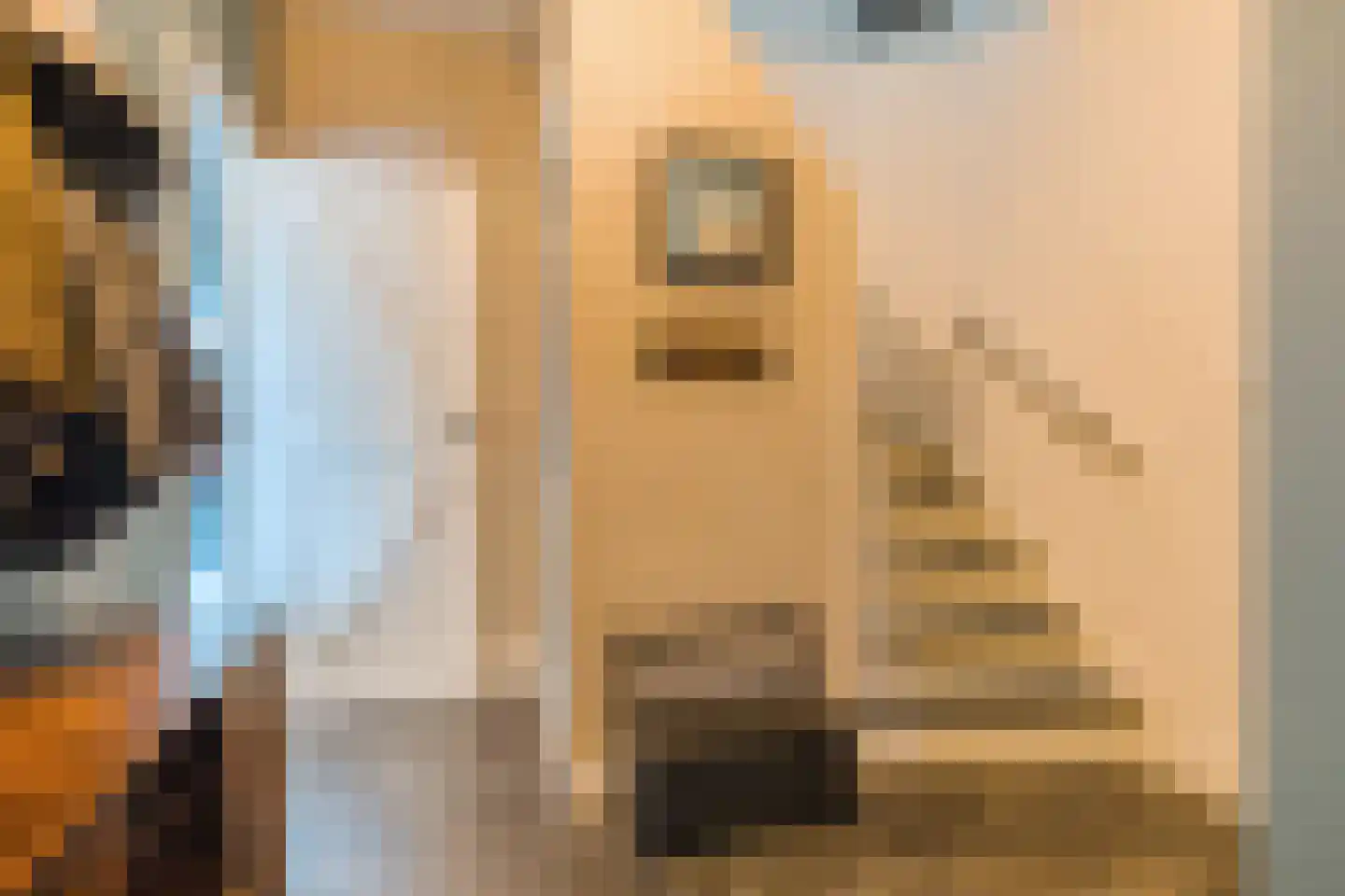 Diederikstraat 58 Gemert thumbnail 8