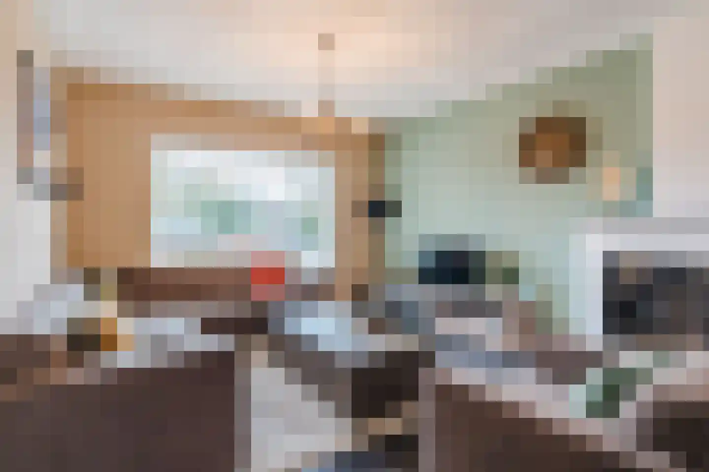 Diederikstraat 58 Gemert thumbnail 9