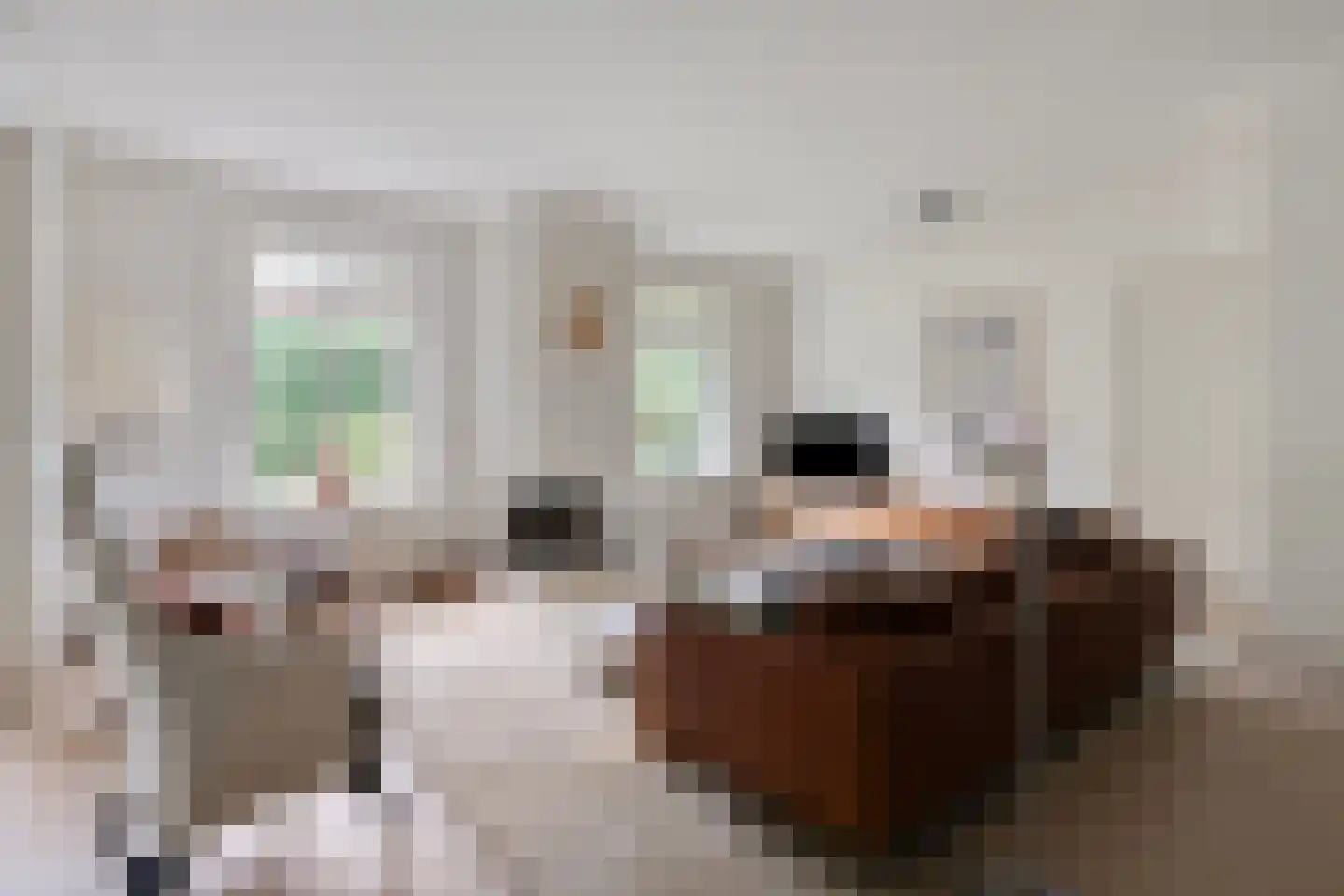 Diederikstraat 63 Gemert thumbnail 14