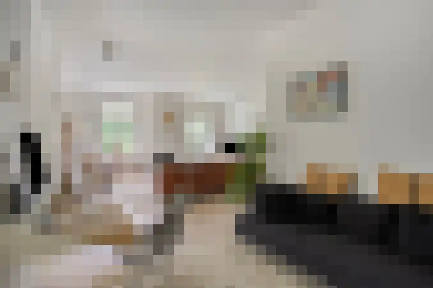 Diederikstraat 63 Gemert thumbnail 17