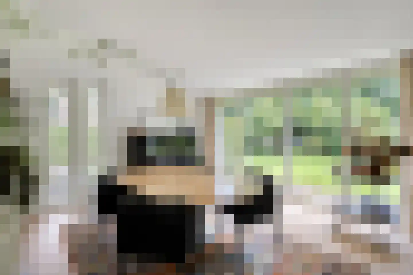Diederikstraat 63 Gemert thumbnail 19