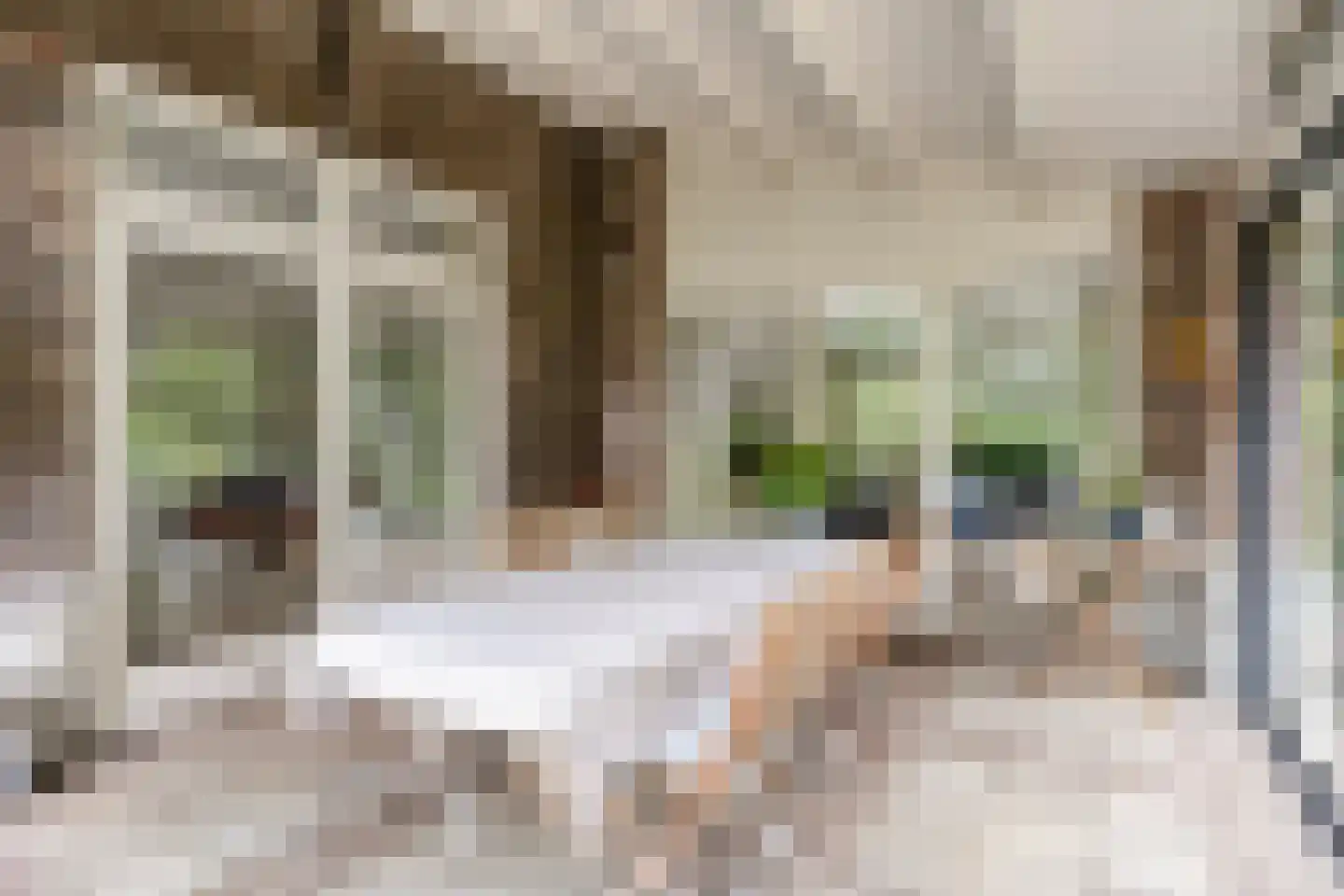 Diederikstraat 63 Gemert thumbnail 21