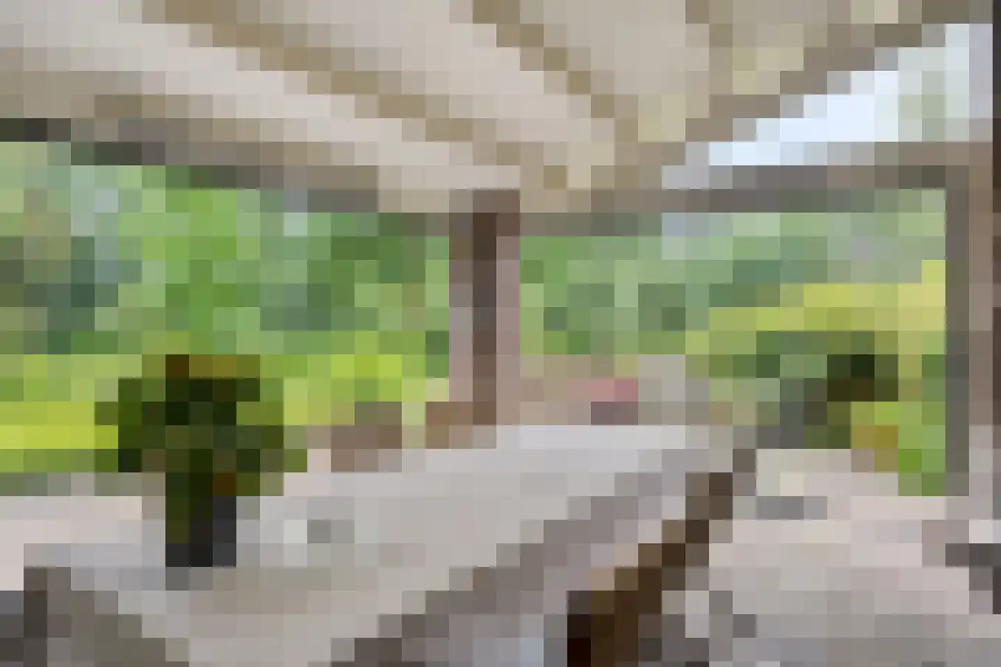 Diederikstraat 63 Gemert thumbnail 22