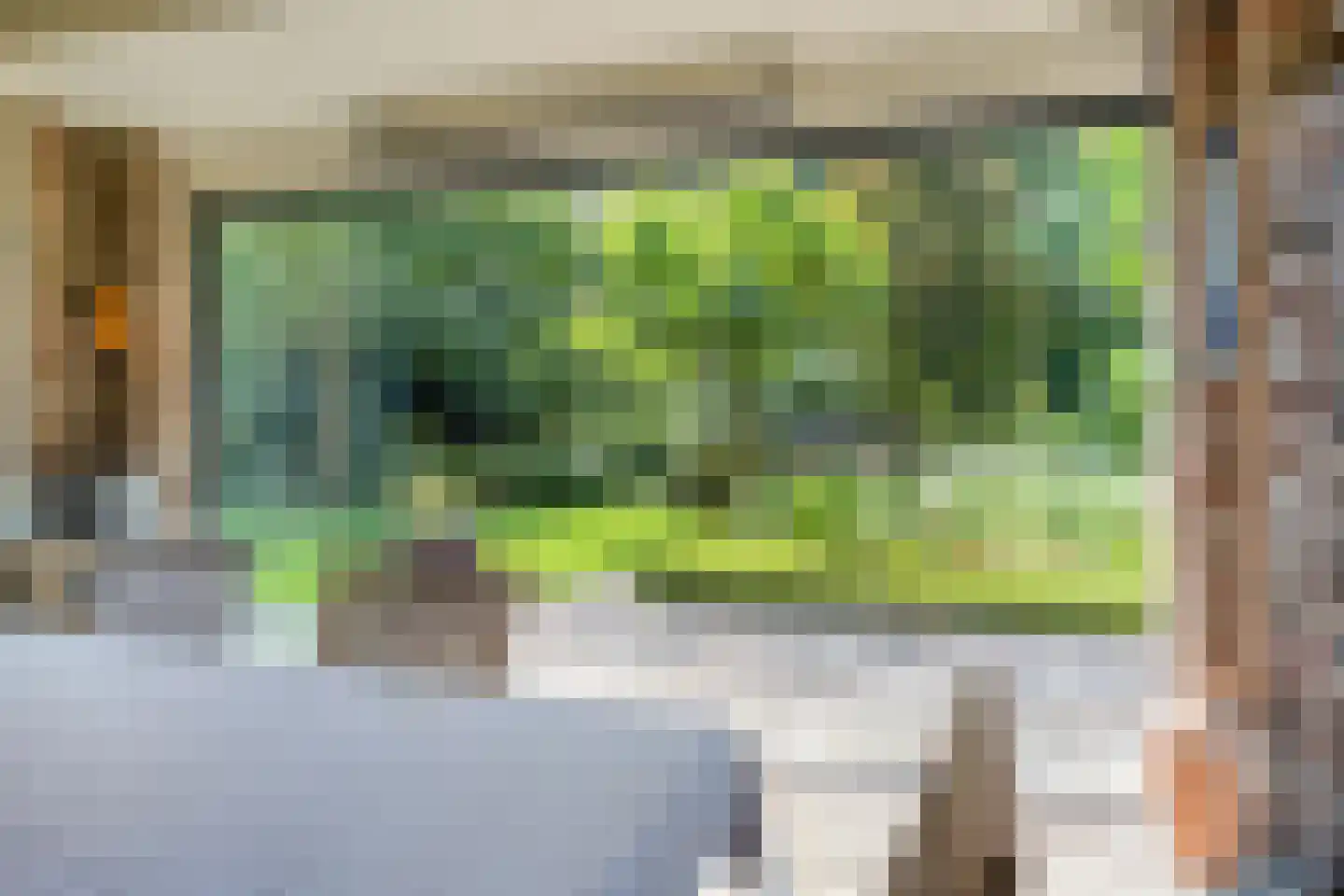 Diederikstraat 63 Gemert thumbnail 23