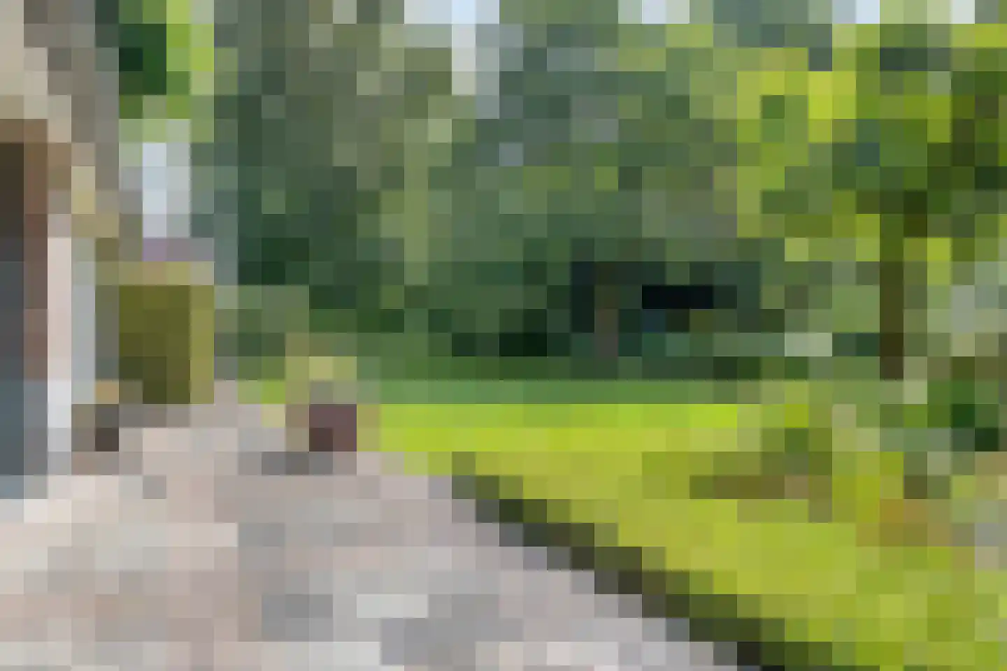 Diederikstraat 63 Gemert thumbnail 24