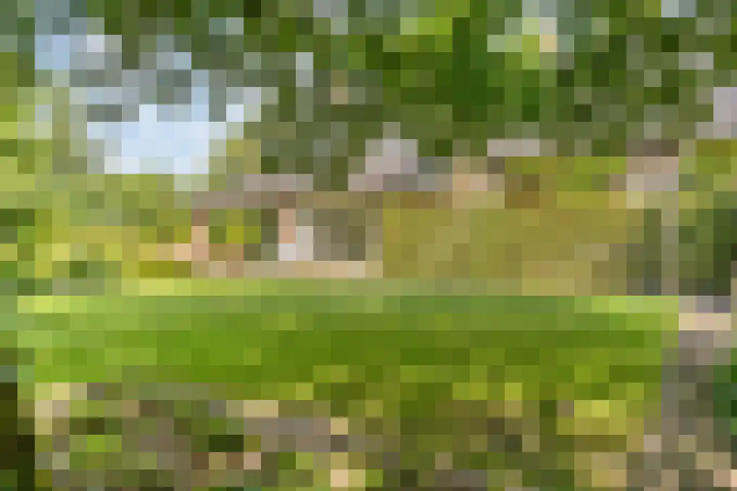 Diederikstraat 63 Gemert thumbnail 25