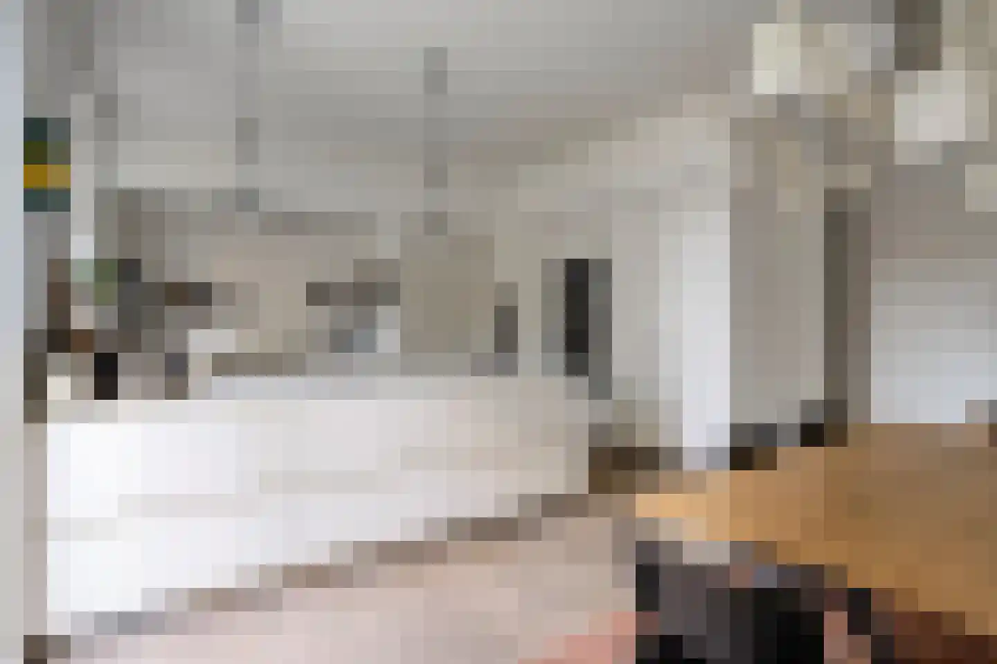 Diederikstraat 63 Gemert thumbnail 26