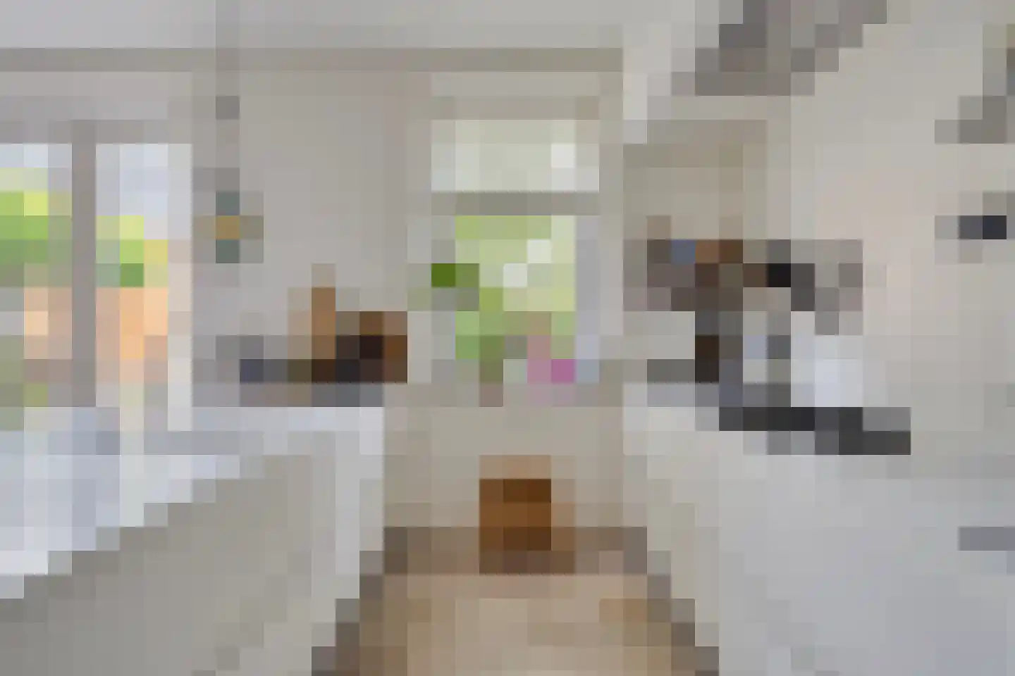 Diederikstraat 63 Gemert thumbnail 28