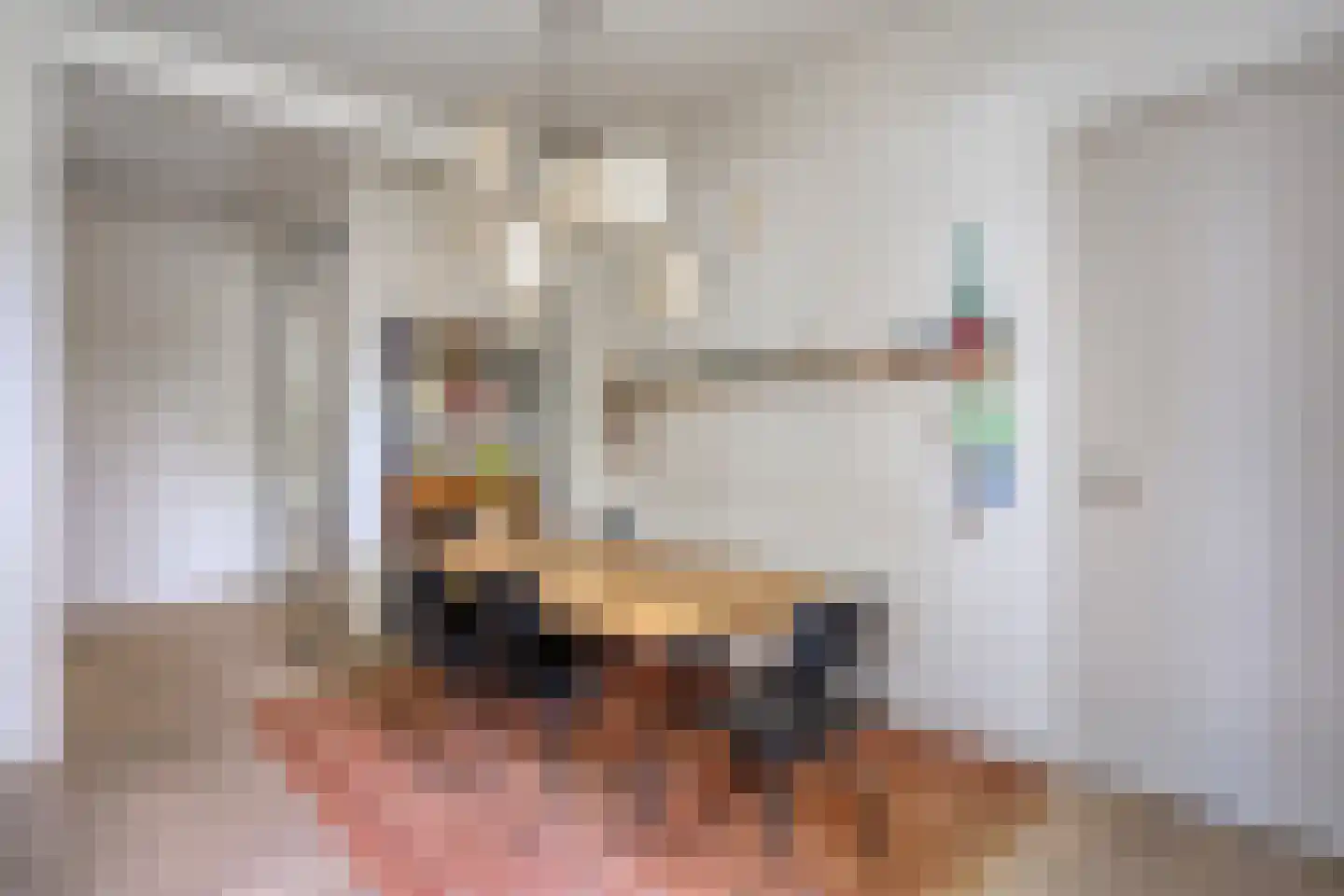 Diederikstraat 63 Gemert thumbnail 29