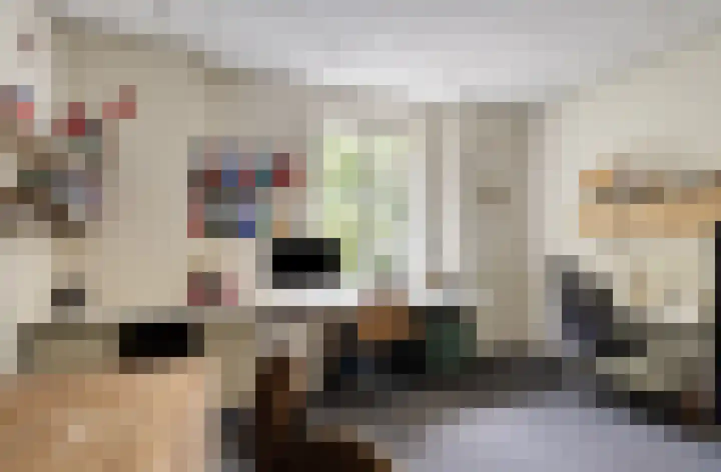 Diederikstraat 63 Gemert thumbnail 34