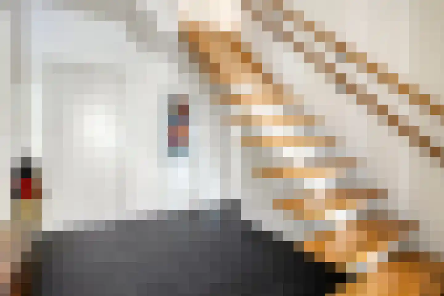 Diederikstraat 63 Gemert thumbnail 35