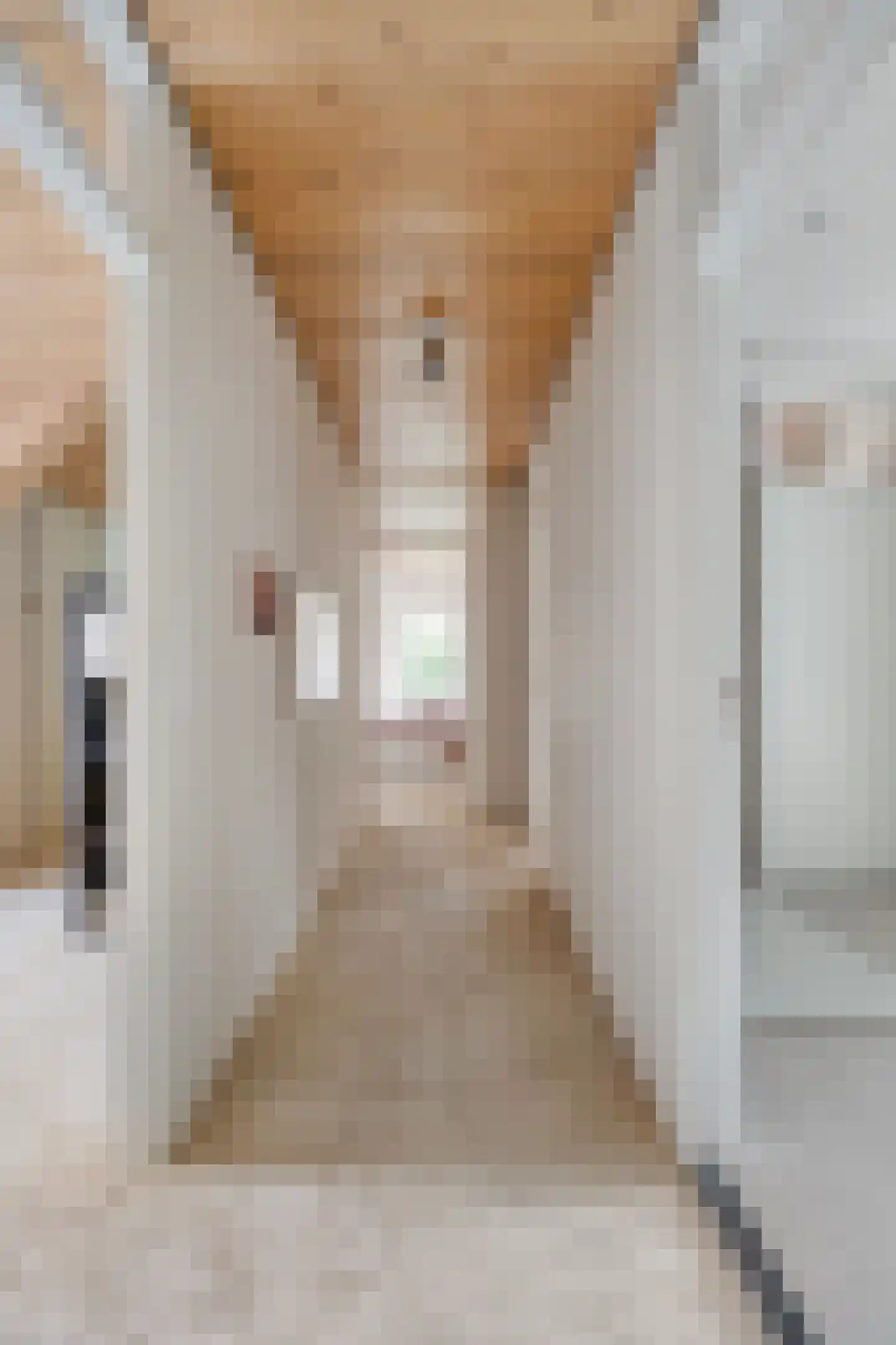 Diederikstraat 63 Gemert thumbnail 37
