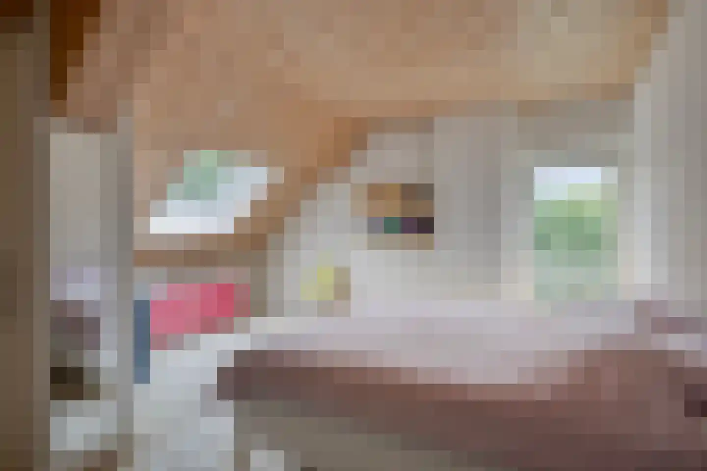Diederikstraat 63 Gemert thumbnail 38