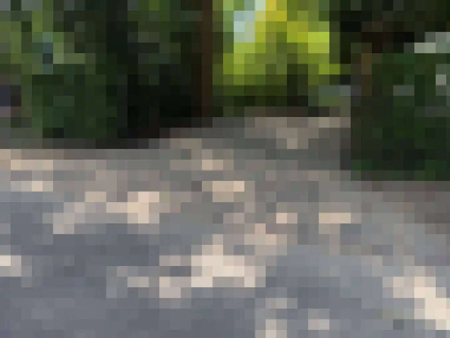 Diederikstraat 63 Gemert thumbnail 4