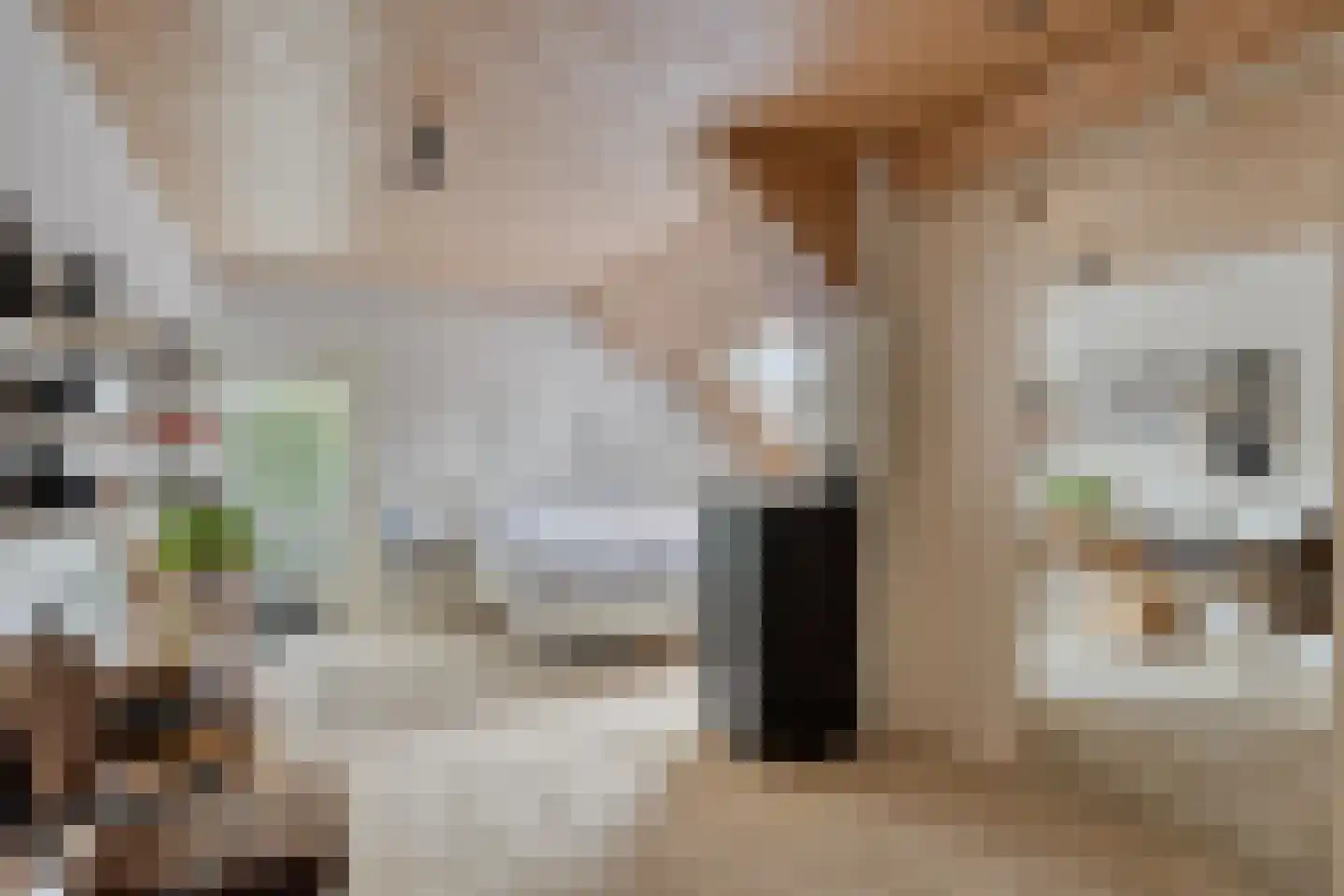 Diederikstraat 63 Gemert thumbnail 40