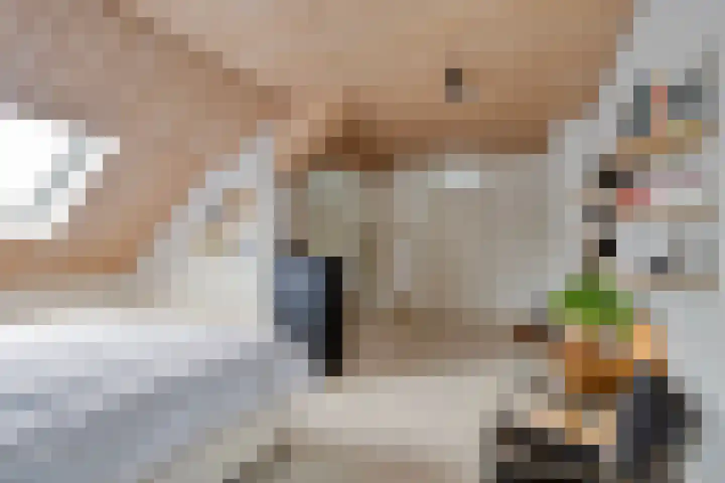 Diederikstraat 63 Gemert thumbnail 41