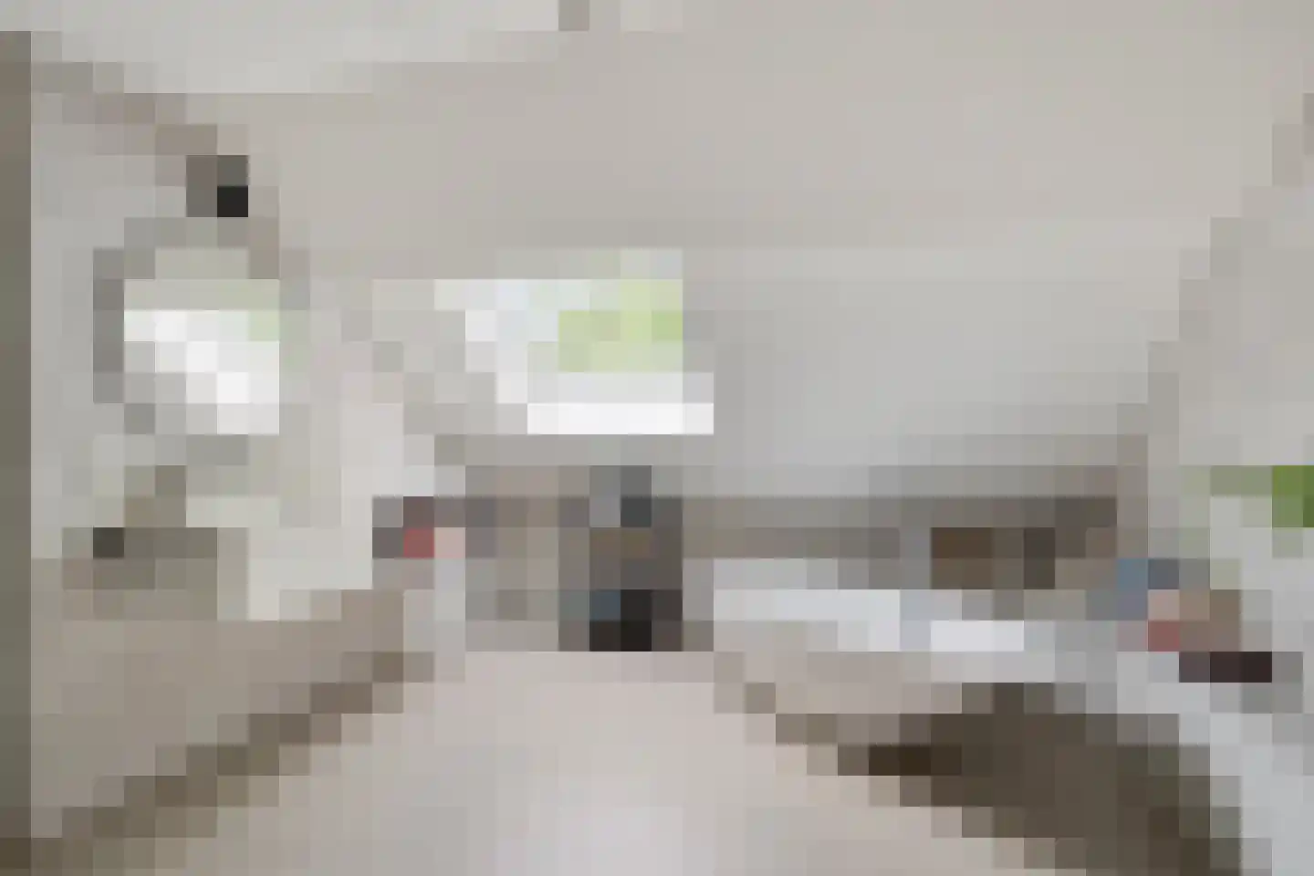 Diederikstraat 63 Gemert thumbnail 42