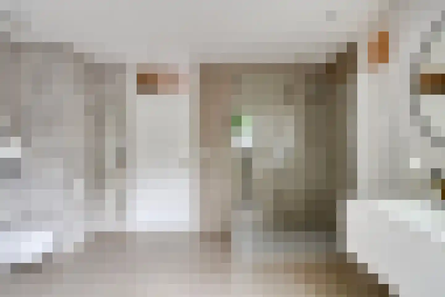 Diederikstraat 63 Gemert thumbnail 44