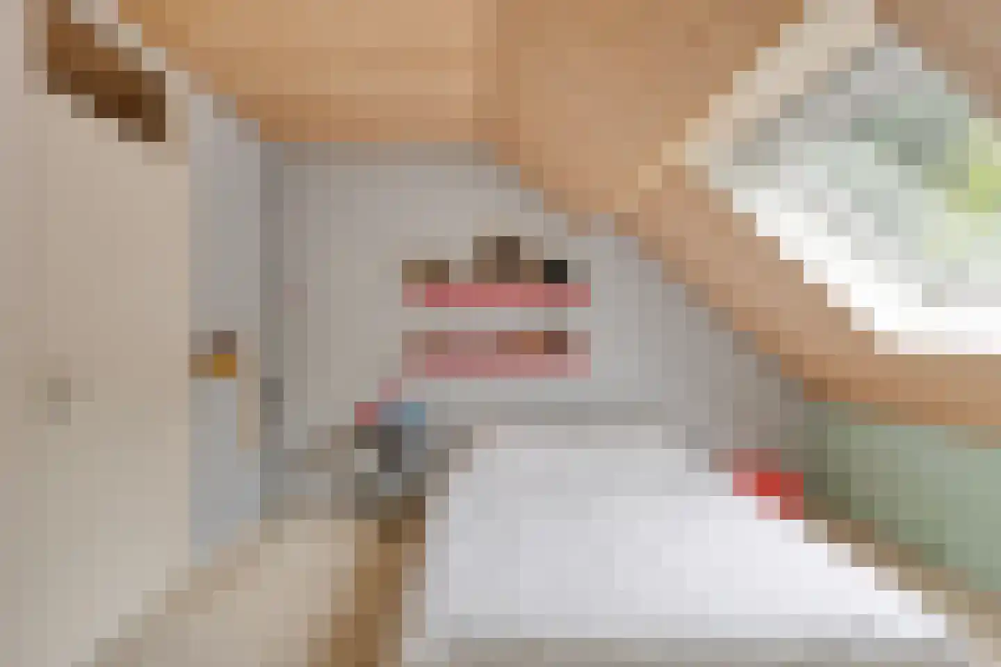 Diederikstraat 63 Gemert thumbnail 46