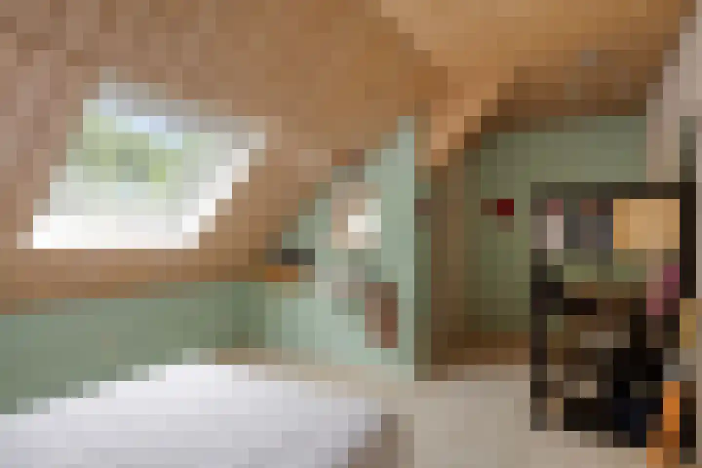 Diederikstraat 63 Gemert thumbnail 47