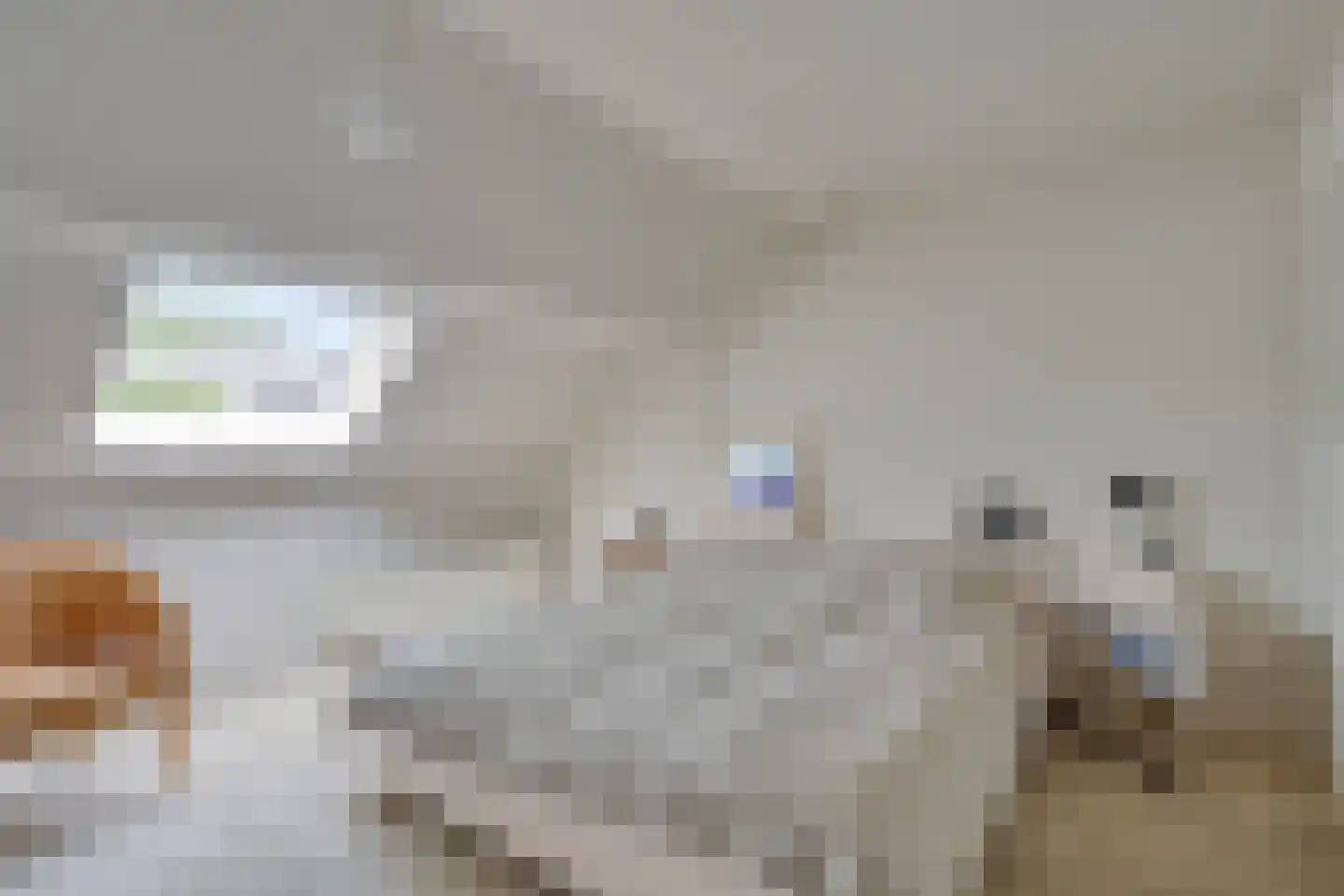 Diederikstraat 63 Gemert thumbnail 48