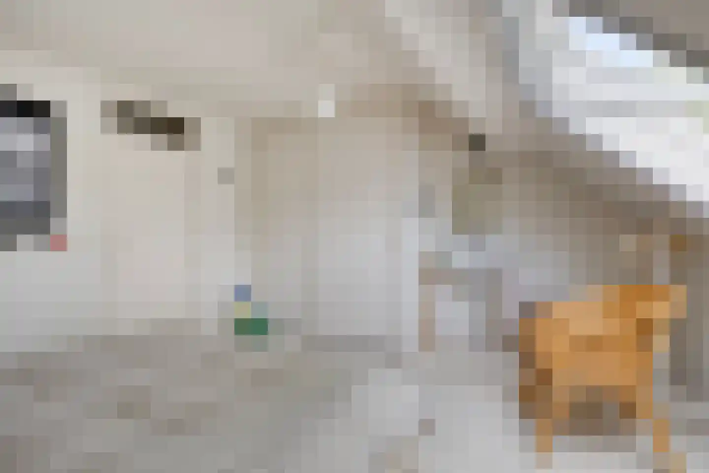 Diederikstraat 63 Gemert thumbnail 49
