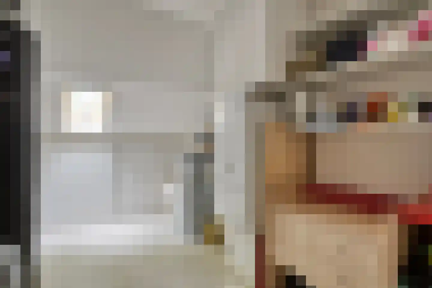 Diederikstraat 63 Gemert thumbnail 52
