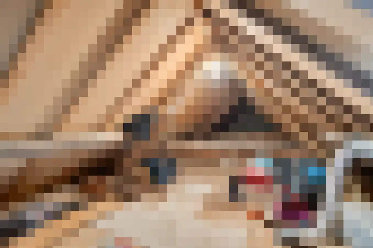 Diederikstraat 63 Gemert thumbnail 53