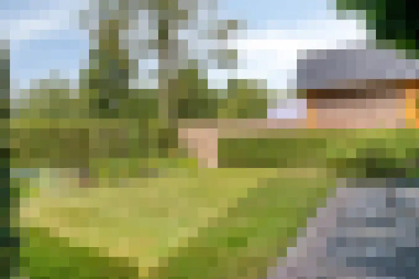 Diederikstraat 63 Gemert thumbnail 54