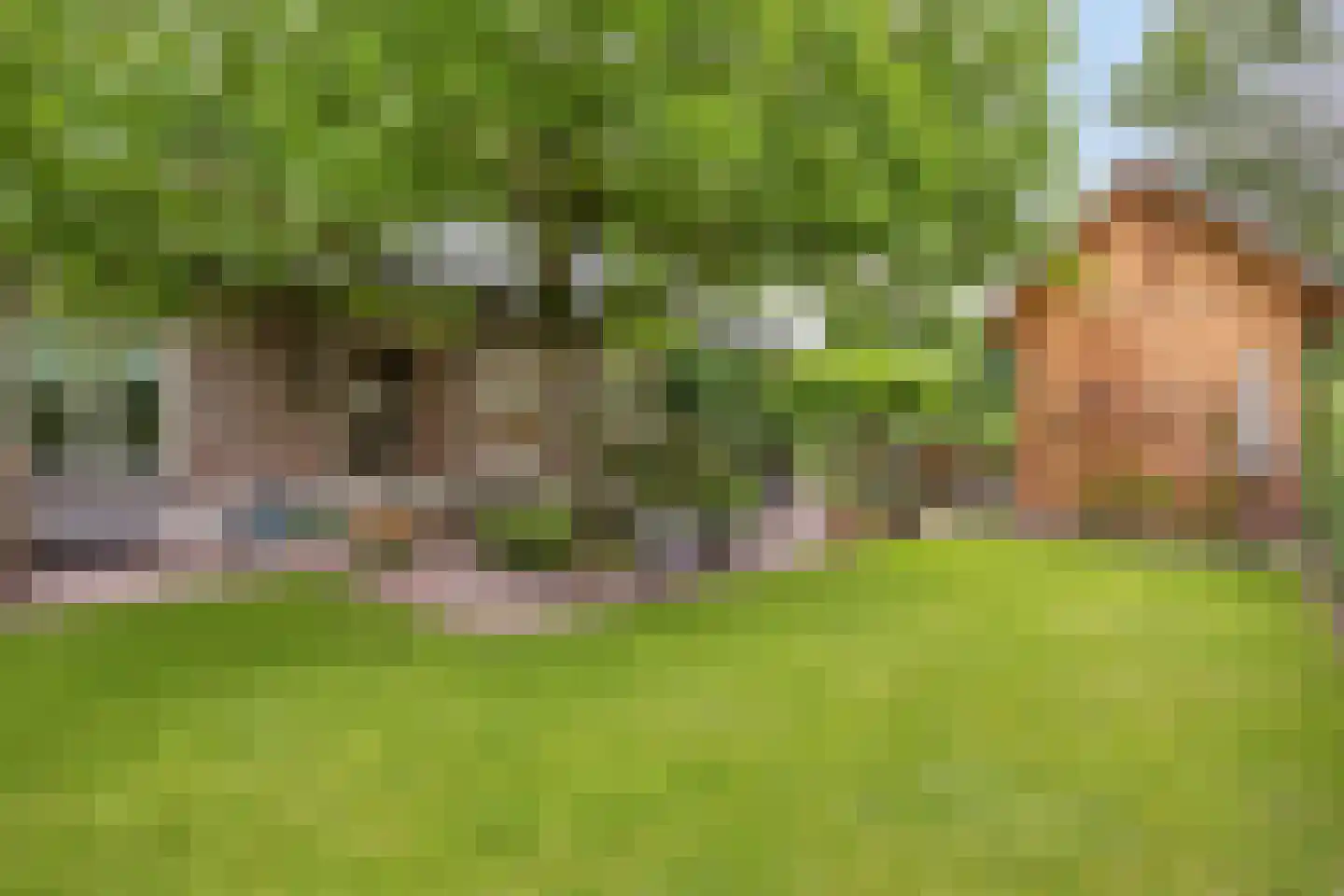 Diederikstraat 63 Gemert thumbnail 56