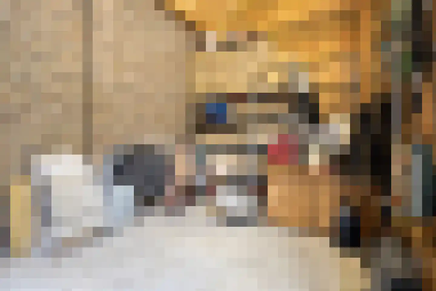 Diederikstraat 63 Gemert thumbnail 57