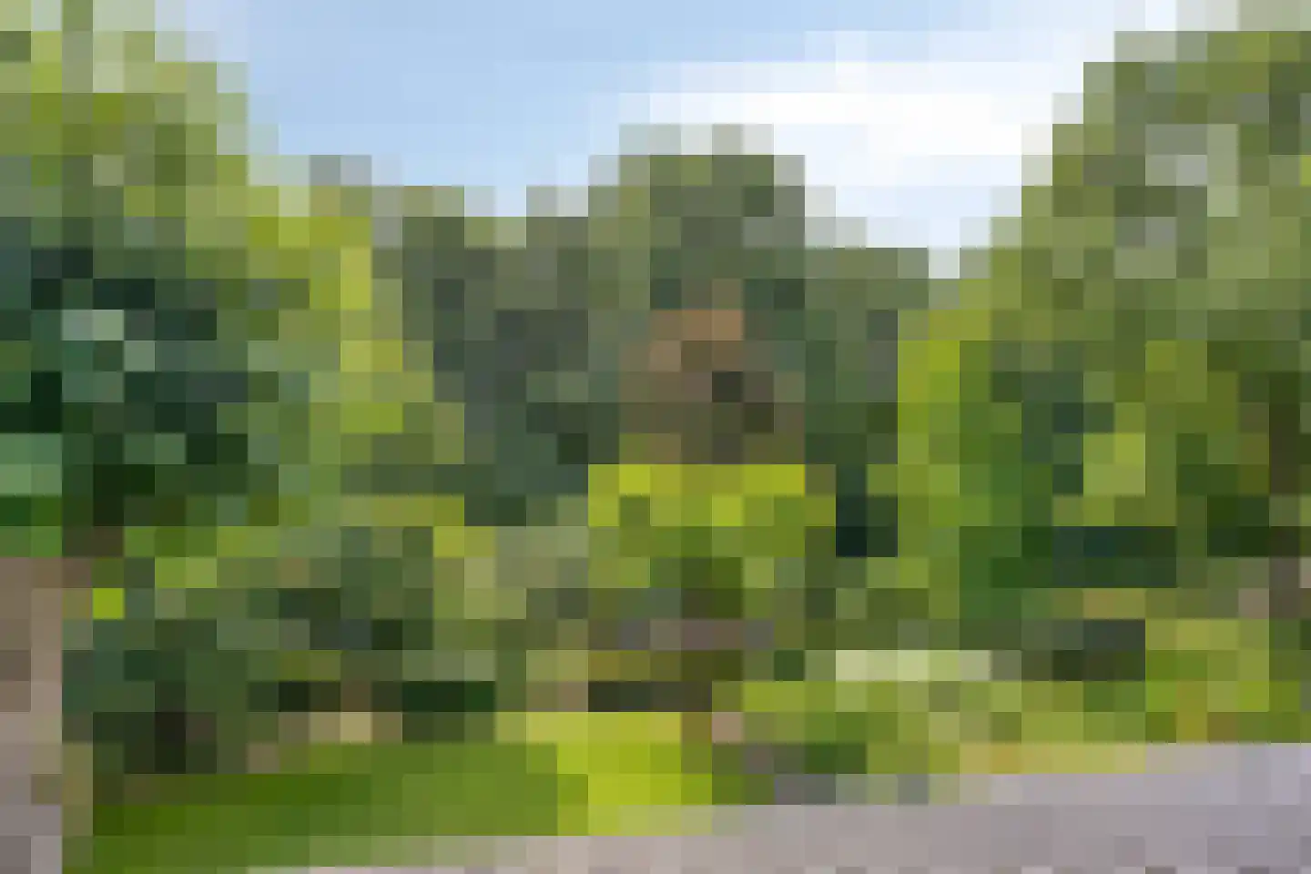 Diederikstraat 63 Gemert thumbnail 58
