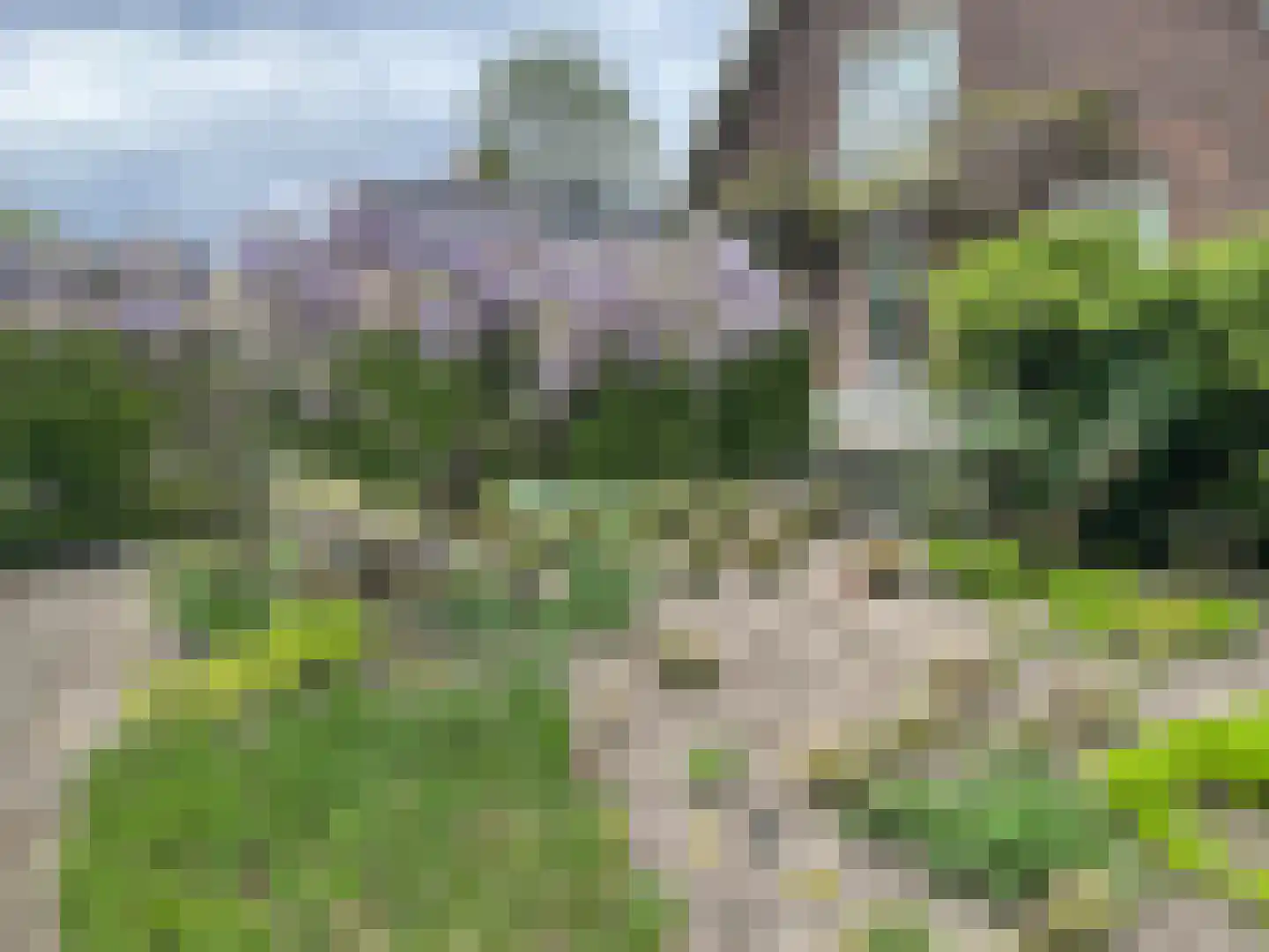 Diederikstraat 63 Gemert thumbnail 60