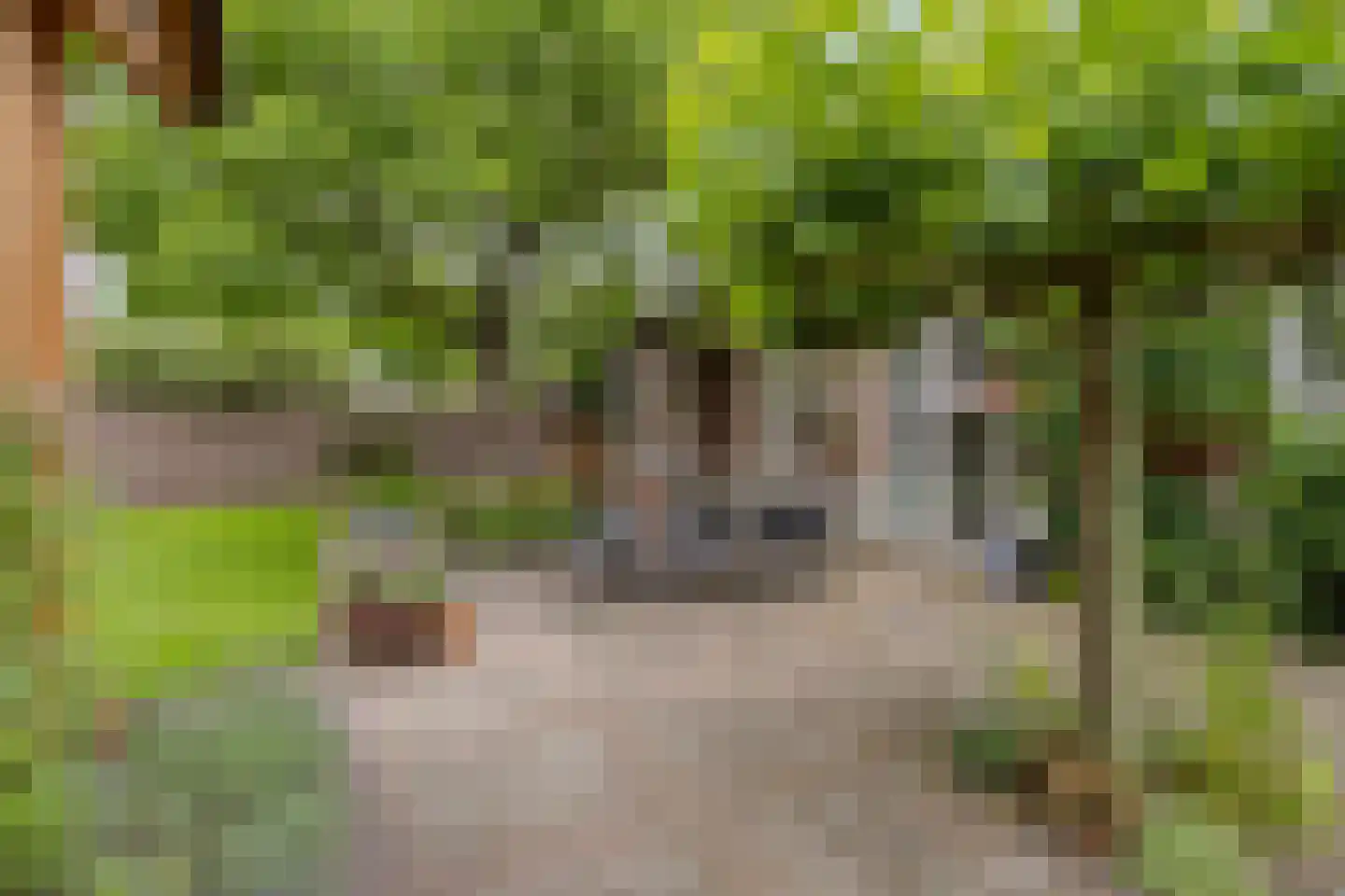 Diederikstraat 63 Gemert thumbnail 61
