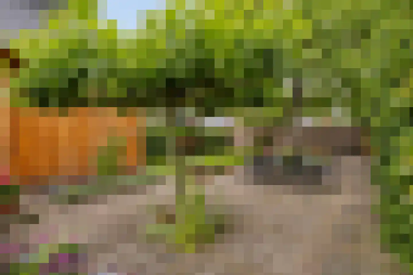 Diederikstraat 63 Gemert thumbnail 62