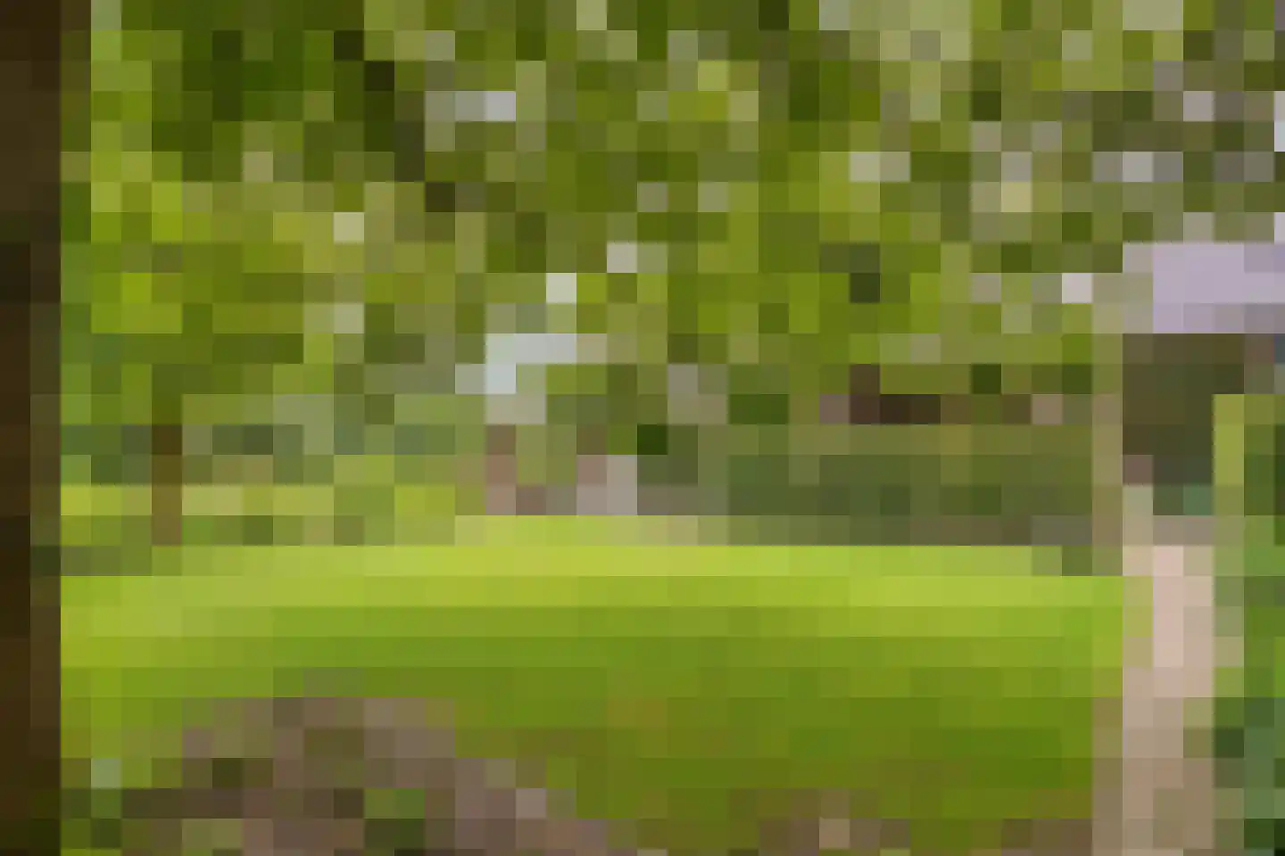 Diederikstraat 63 Gemert thumbnail 63