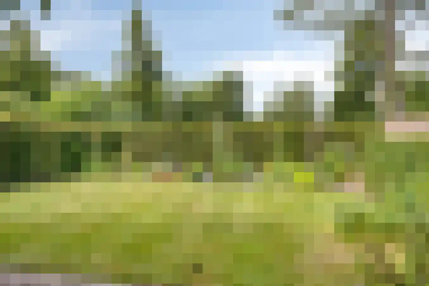 Diederikstraat 63 Gemert thumbnail 64